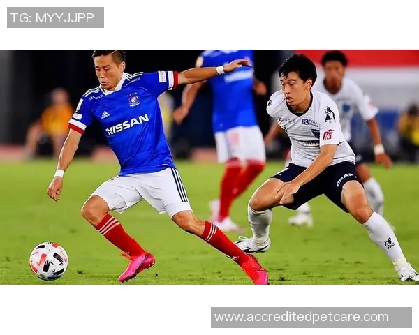 町田泽维亚迎战枥木SC争夺关键积分的激烈对决即将上演