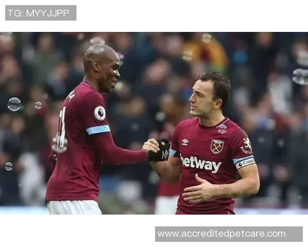 西汉姆联主场迎战赫尔城全力争胜的关键对决分析