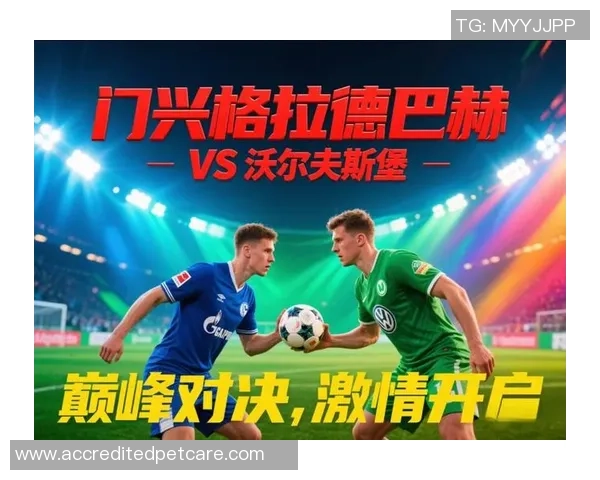 门兴格拉德巴赫与汉堡的激烈对决谁能在德甲赛场上笑到最后