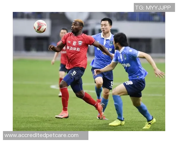 陕西大秦之水与沈阳城市建设的交融与发展探讨