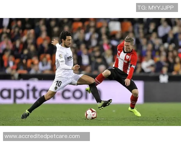 亚特兰大与萨索洛激战在即球迷期待精彩对决与战术较量