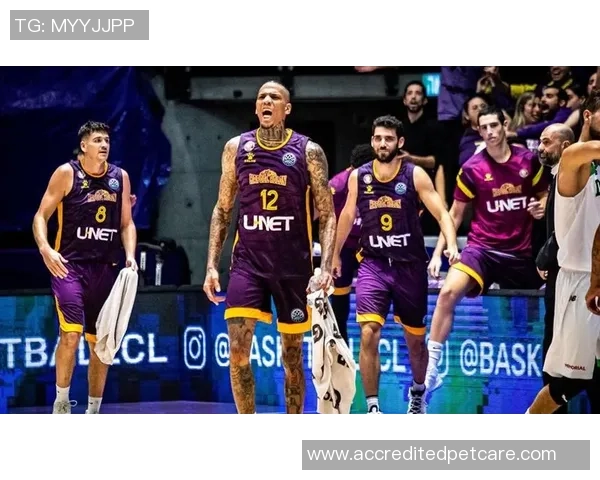 夏普尔埃拉特与霍隆夏普尔激战正酣谁能在这场对决中笑到最后