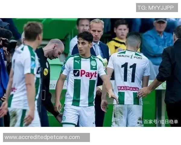 格罗宁根与维迪斯对决前瞻及比分预测分析