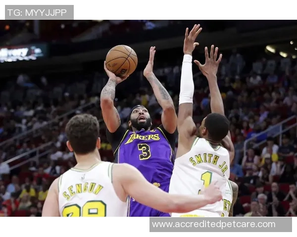 湖人火箭2020常规赛精彩对决在线直播全程回顾与分析