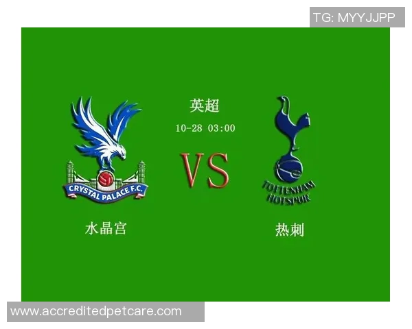 1月28日水晶宫对阵热刺比赛结果分析及精彩瞬间回顾