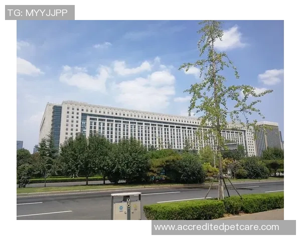 2018年11月08日NBA常规赛精彩对决回顾与分析