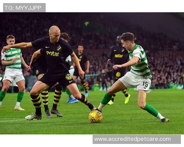 2018年索尔纳对阵布鲁马波精彩直播回顾与赛后分析