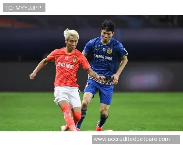 中超决赛恒大对苏宁直播回顾主裁判表现引发热议