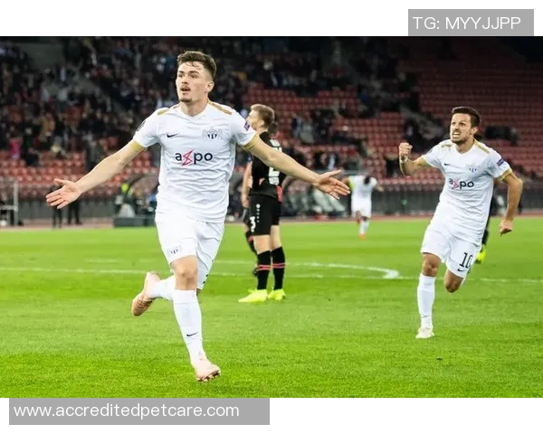 卡拉巴赫与地拉拿柏迪辛尼的精彩对决展现足球魅力与激情