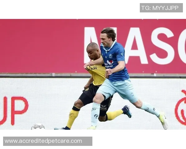 周日29日020芬洛对阵罗达JC精彩赛事前瞻与分析