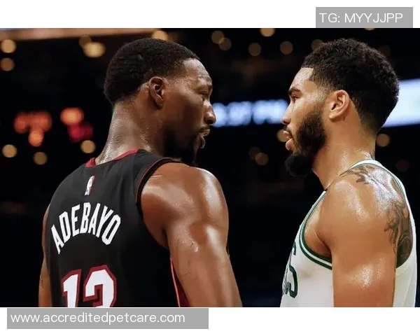 湖人对决热火2020年10月5日精彩直播回顾与分析