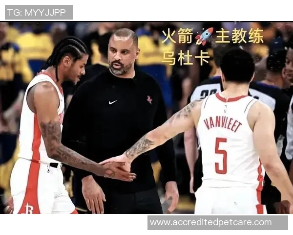 火箭队与森林狼激战回顾：2019年3月18日的精彩对决与赛后分析