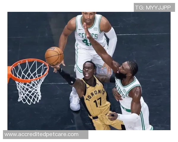 猛龙与凯尔特人精彩对决直播链接分享及赛前分析九月十二日