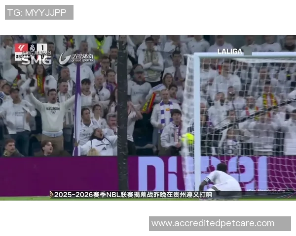 篮球皇马与中央陆军对决精彩回顾皇家马德里吧球迷热议赛场表现