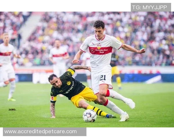 美因茨05与斯图加特友谊赛精彩回顾与赛后分析