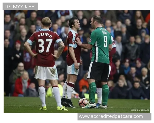 英锦赛林肯城对阵罗的汉姆精彩直播全程回顾与赛后分析