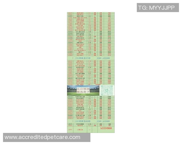 西部联与阿德莱德联比赛赔率分析及比分预测全解析