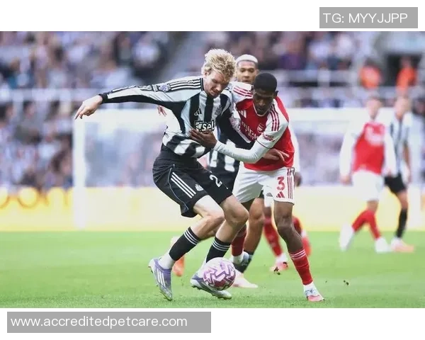 阿斯顿维拉与伯恩利的精彩对决最终比分揭晓分析