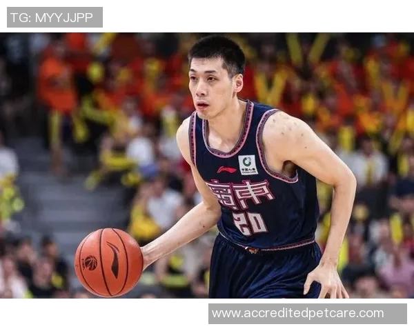 新赛季00后占比过半！这5位老将仍在据守 36岁神射不老传奇？