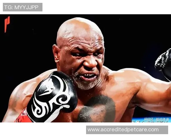 泰森：不是不尊重李小龙，若是没有拳击规矩，我能够把他打死