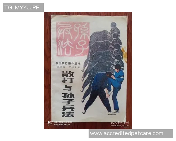 电波球火爆！戴AR眼镜无什物对打，还得懂孙子兵法，你玩过吗？